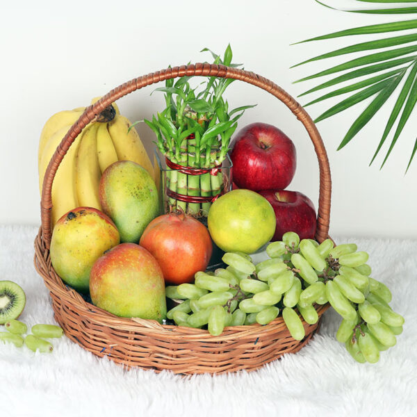 fresh fruit basket with bamboo plant